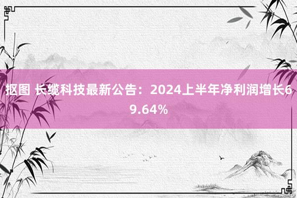 抠图 长缆科技最新公告：2024上半年净利润增长69.64%