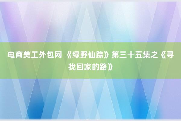 电商美工外包网 《绿野仙踪》第三十五集之《寻找回家的路》